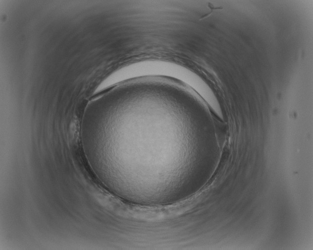 X0000084540029200703091705