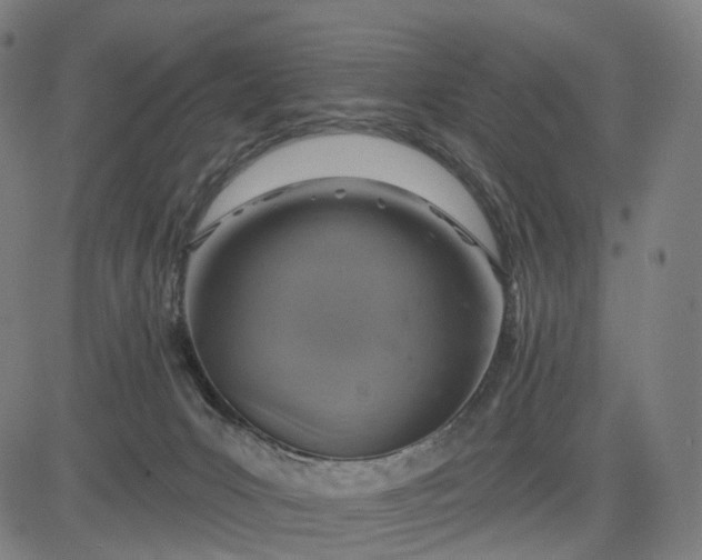 X0000084540031200703091705