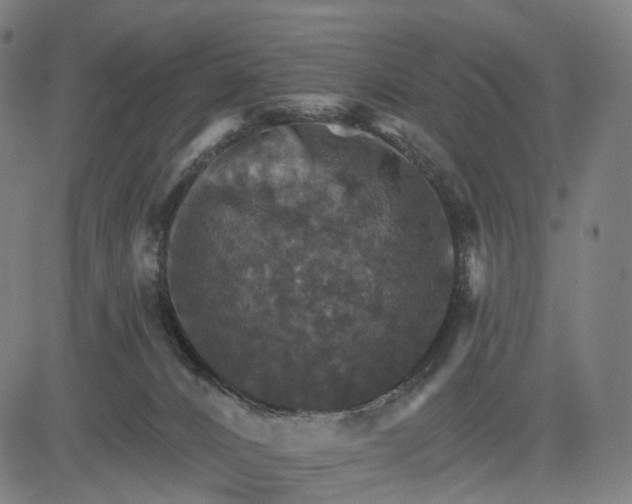 X0000084540032200703091705