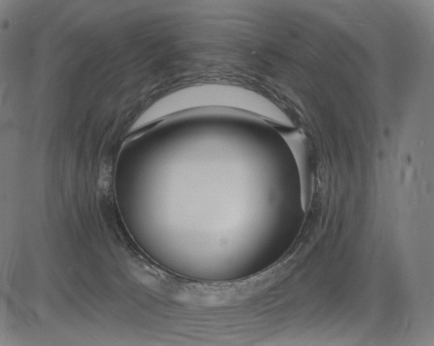 X0000084540033200703091705