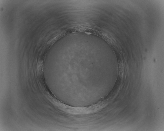 X0000084540034200703091705