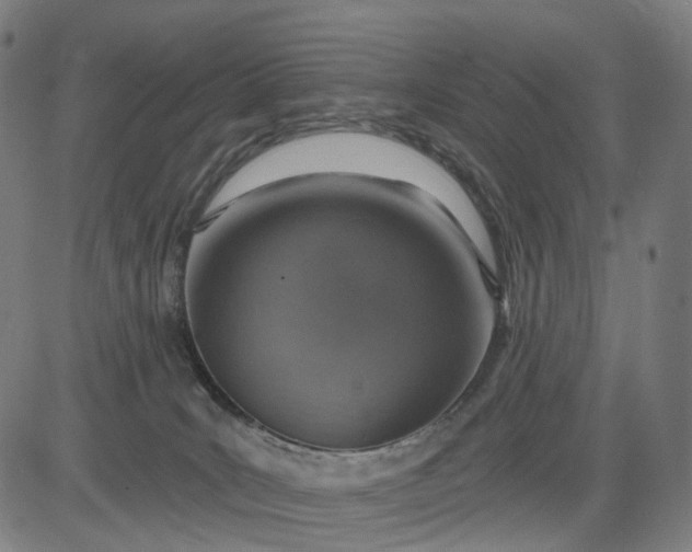 X0000084540035200703091705