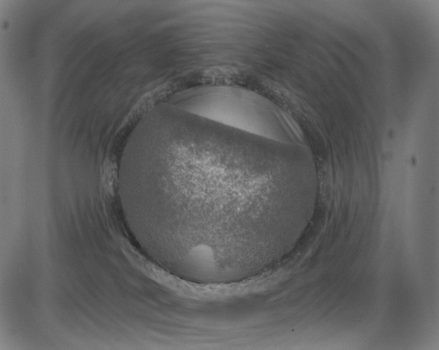 X0000084540038200703091705