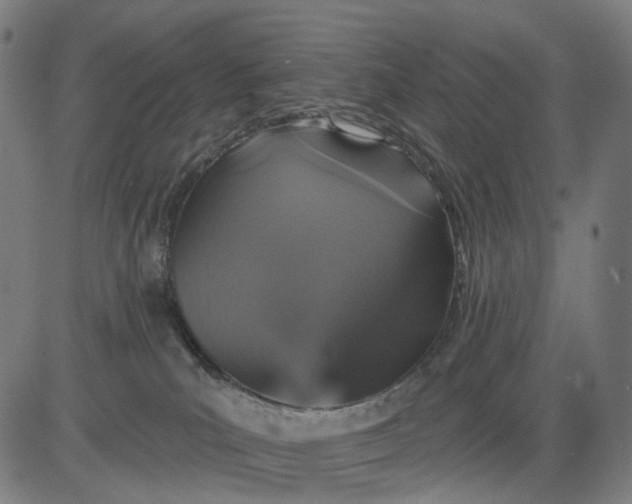 X0000084540039200703091705