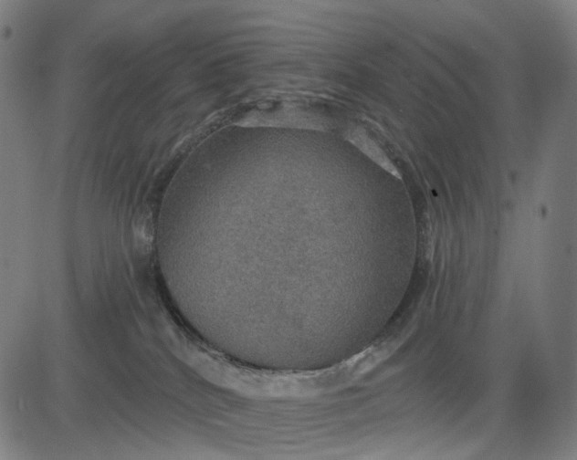 X0000084540040200703091705