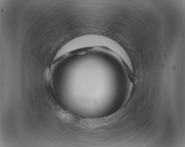 X0000084540041200703091705