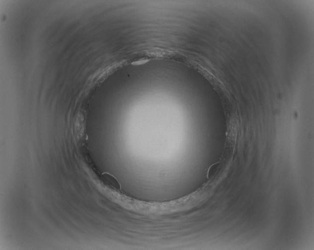 X0000084540043200703091705