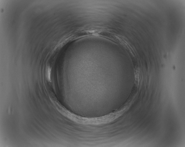 X0000084540046200703091705