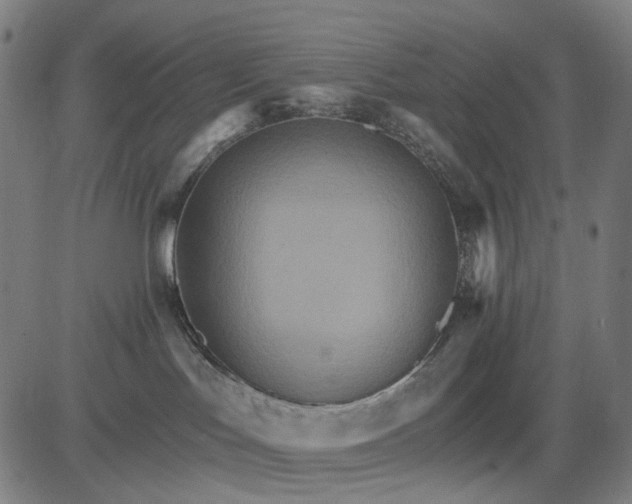 X0000084540047200703091705