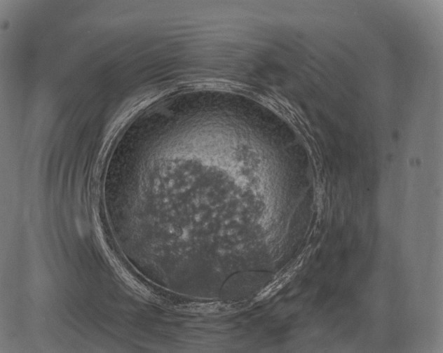 X0000084540049200703091704