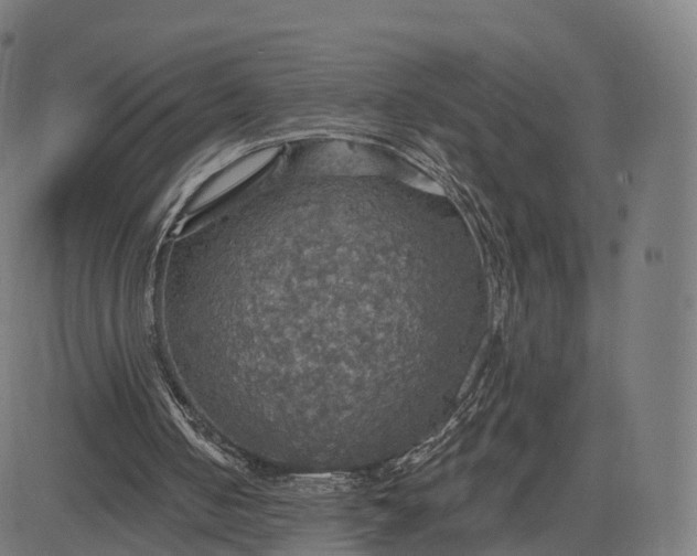 X0000084540050200703091704