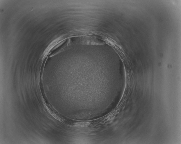 X0000084540051200703091704