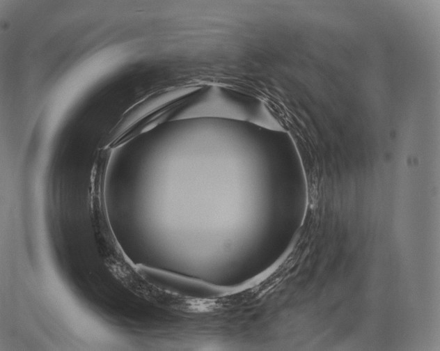 X0000084540052200703091704