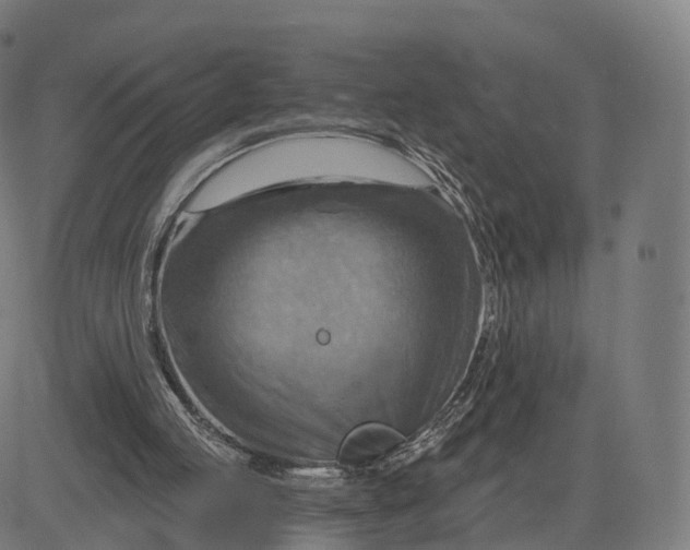 X0000084540053200703091704