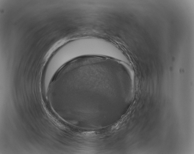 X0000084540054200703091704