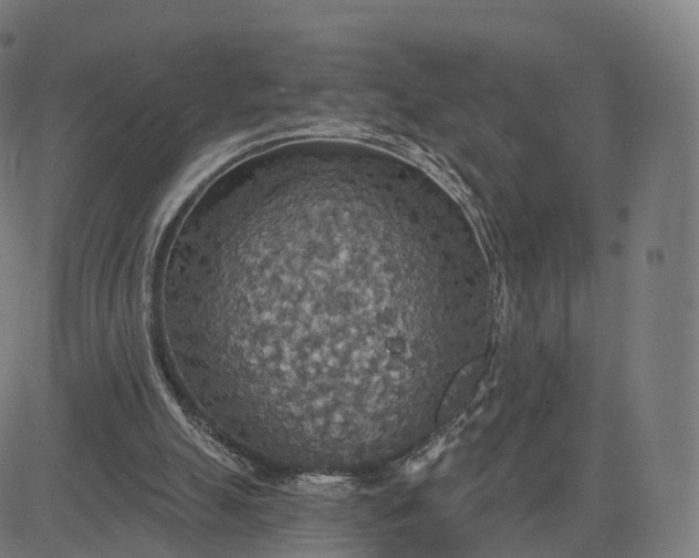 X0000084540055200703091704