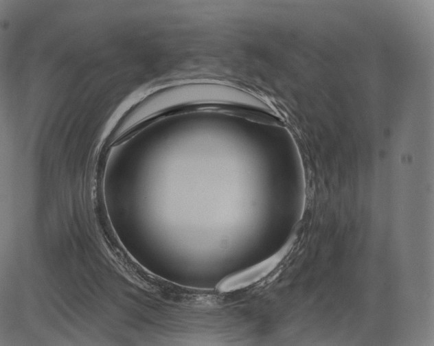 X0000084540056200703091704