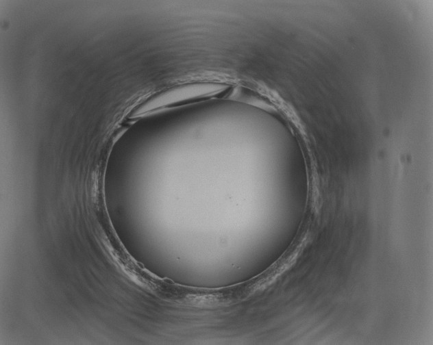 X0000084540057200703091704