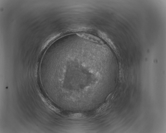 X0000084540058200703091704