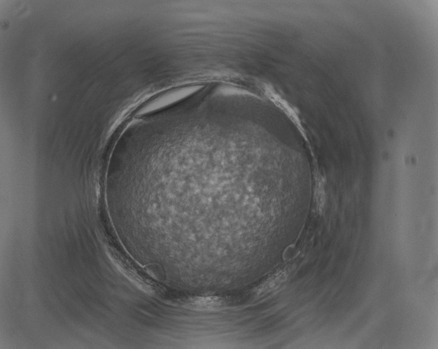 X0000084540059200703091704