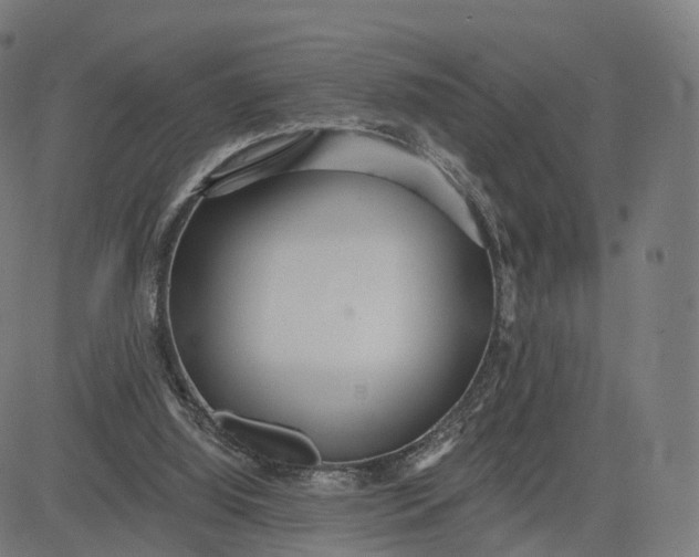 X0000084540060200703091704