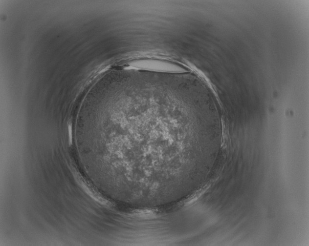 X0000084540061200703091704