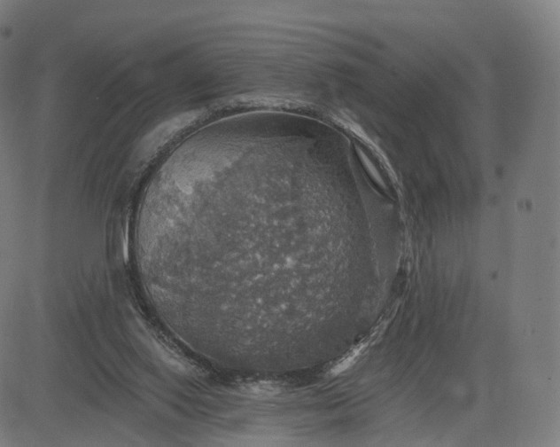 X0000084540062200703091704