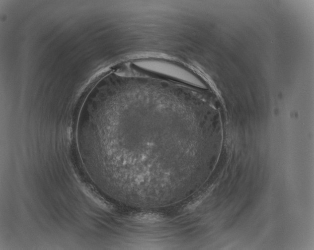 X0000084540063200703091704