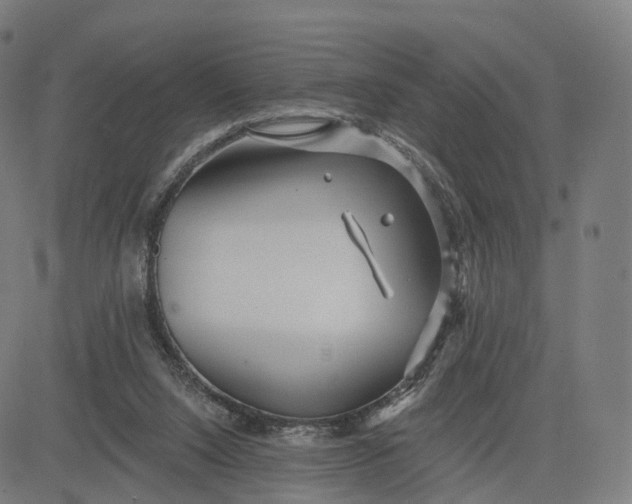 X0000084540064200703091704