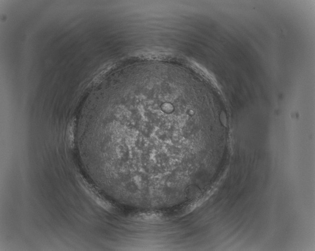 X0000084540065200703091704