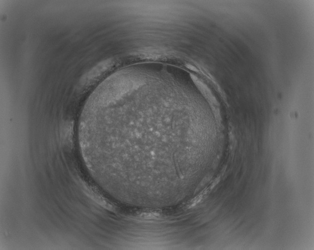 X0000084540066200703091704