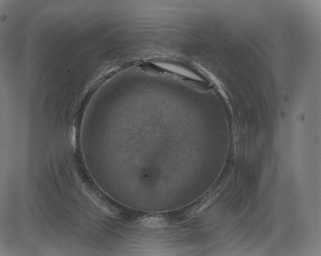 X0000084540067200703091704