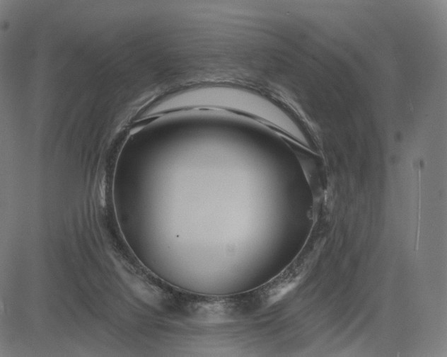 X0000084540068200703091704