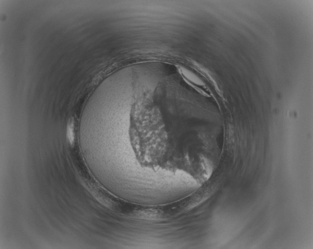 X0000084540069200703091704