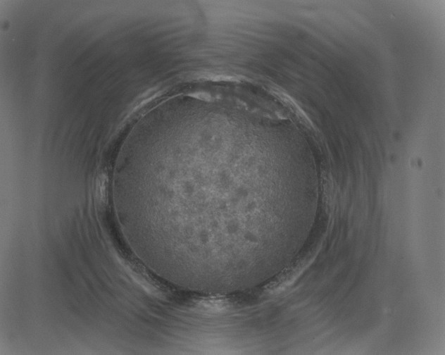 X0000084540071200703091704