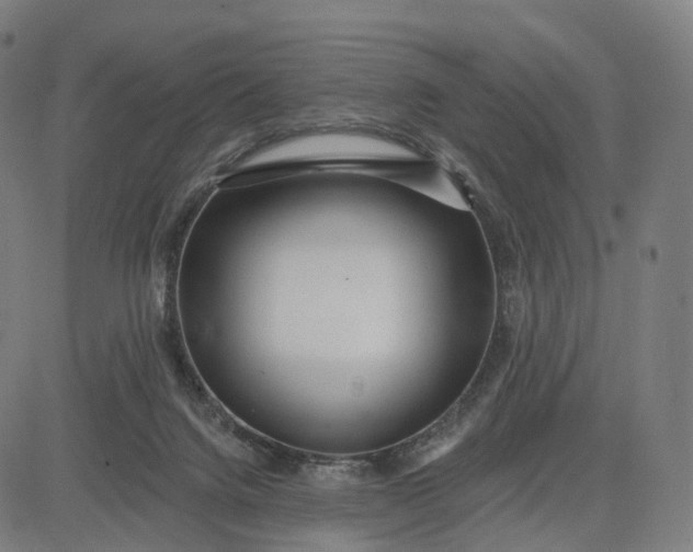 X0000084540072200703091704