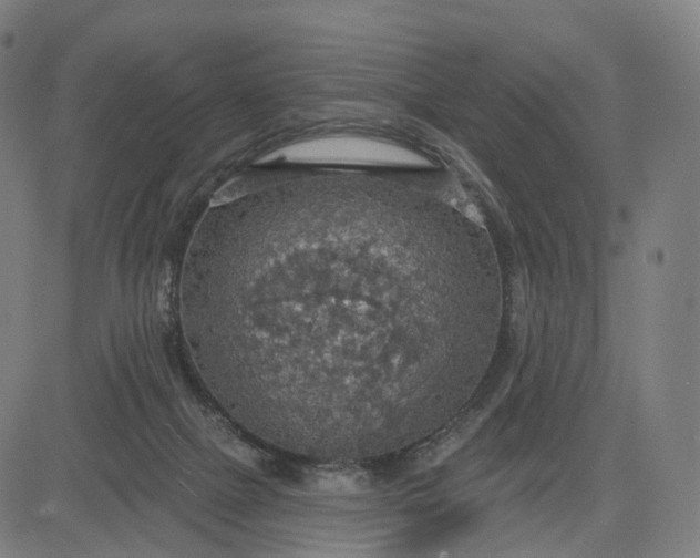 X0000084540073200703091704