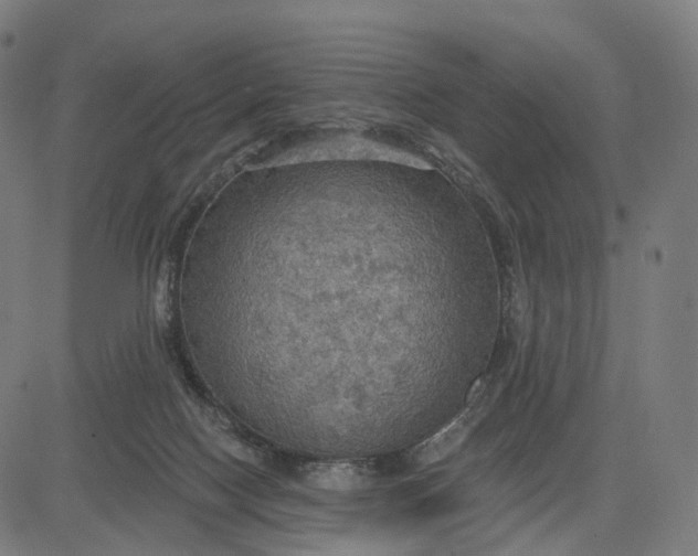 X0000084540074200703091704