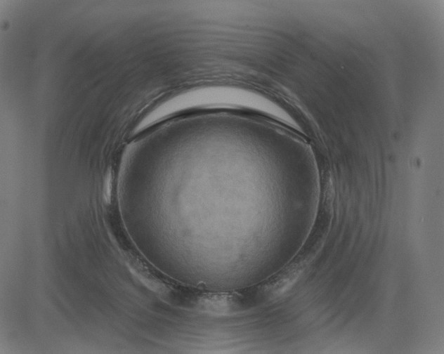 X0000084540076200703091704