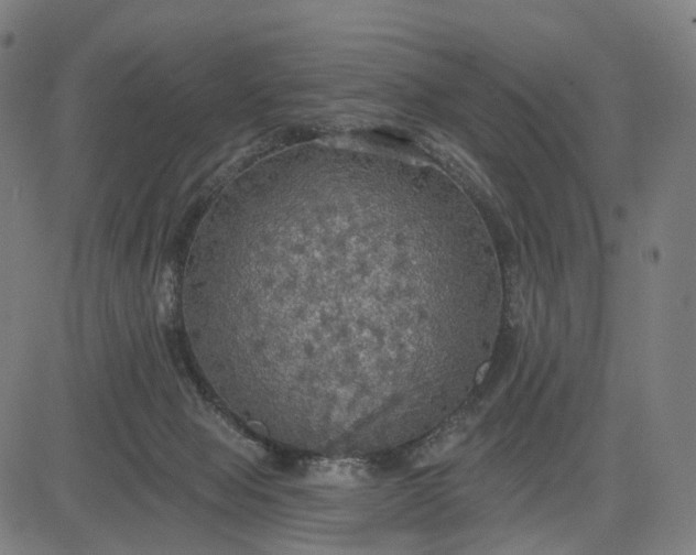 X0000084540077200703091704