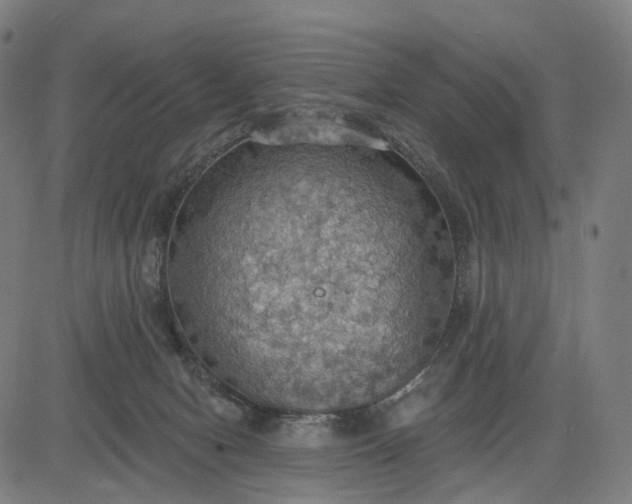 X0000084540078200703091704