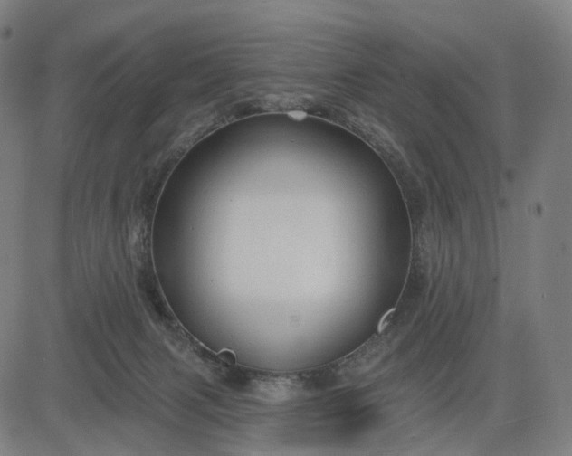 X0000084540079200703091704