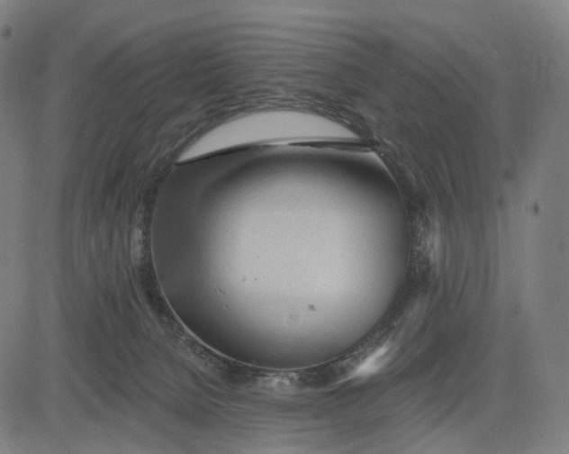 X0000084540080200703091704