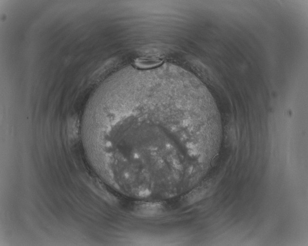 X0000084540081200703091704