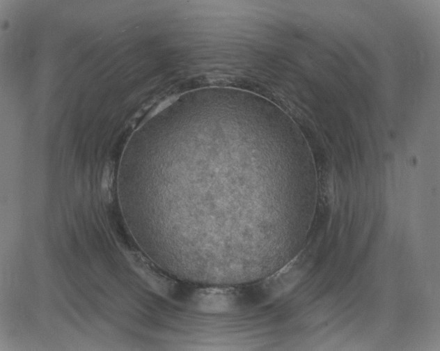 X0000084540082200703091705