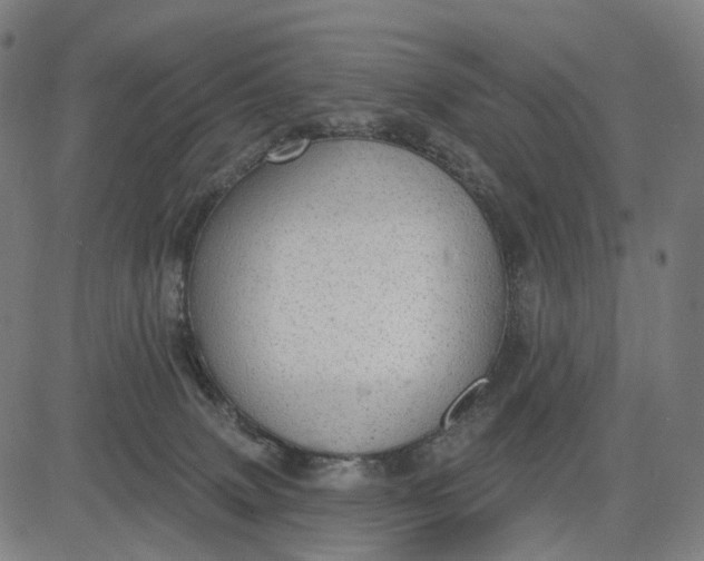 X0000084540083200703091705