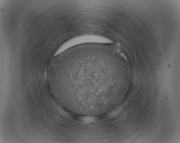 X0000084540085200703091705