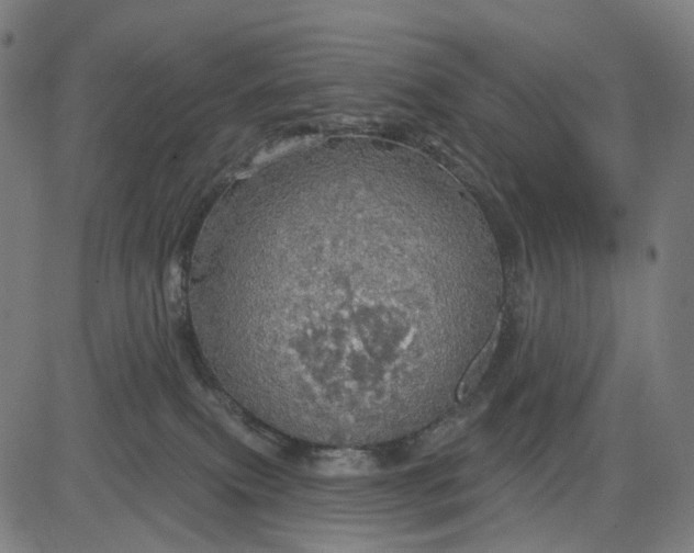 X0000084540087200703091705