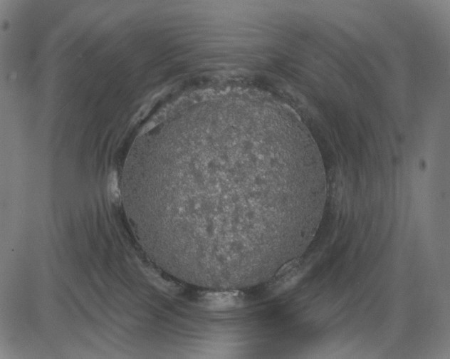 X0000084540089200703091705