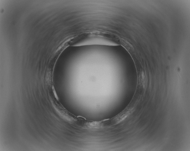 X0000084540092200703091705